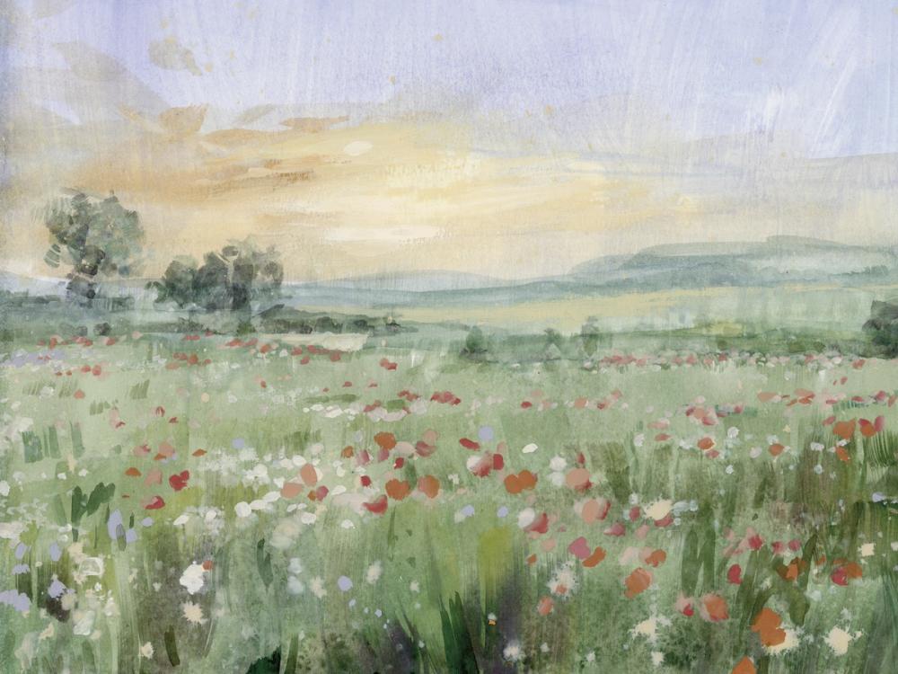 First Light on the Meadow