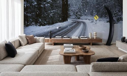 Winter Forest Journey