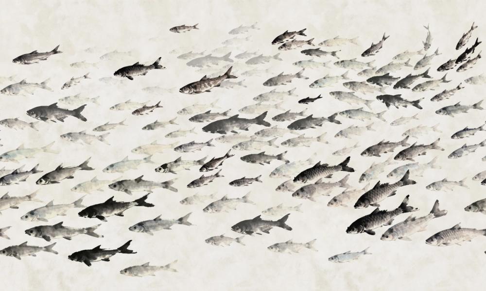 Sumi Current, Washi