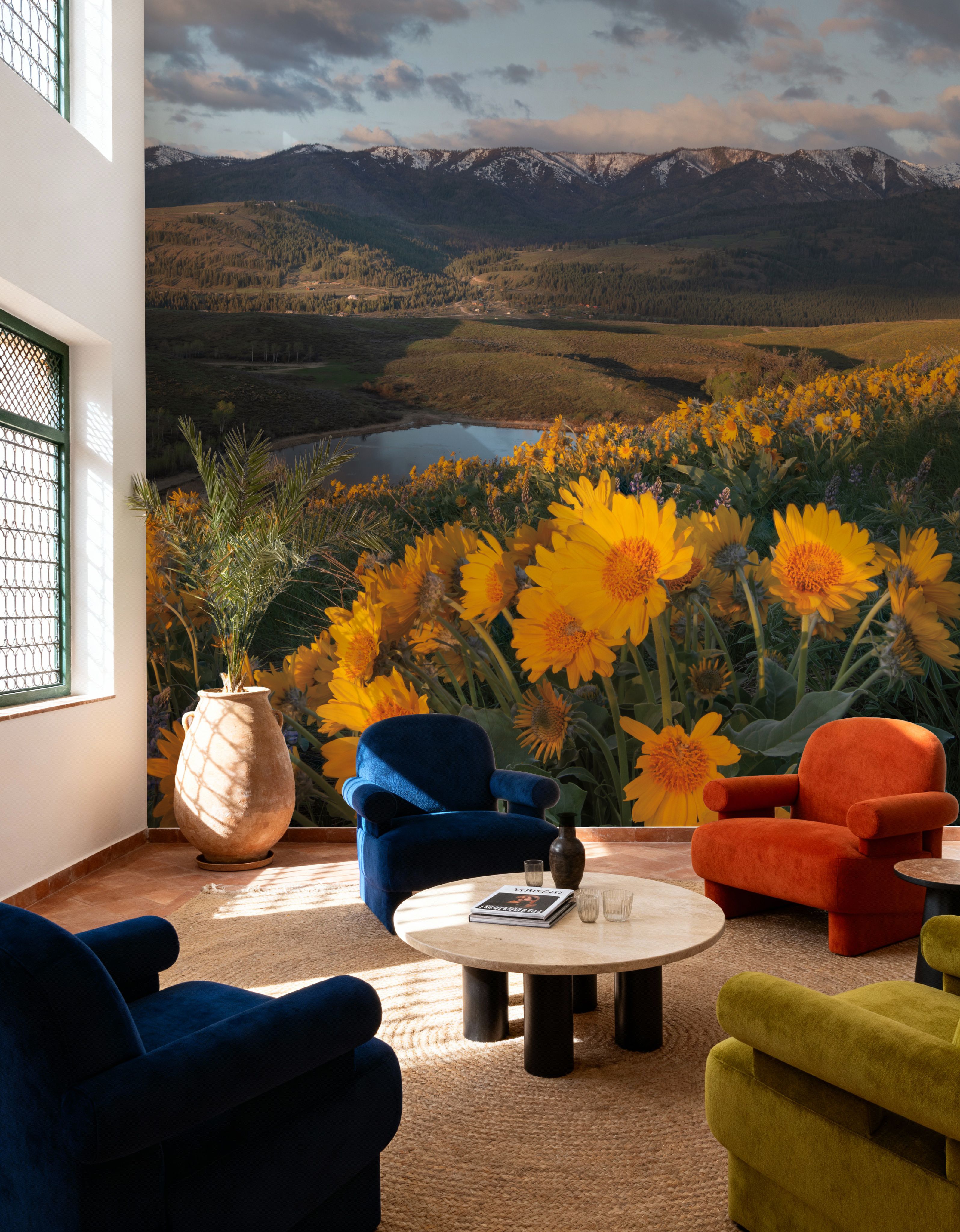 Methow Valley Wildflowers V