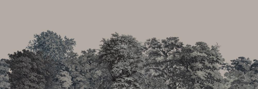 Over the Treetops, Bone