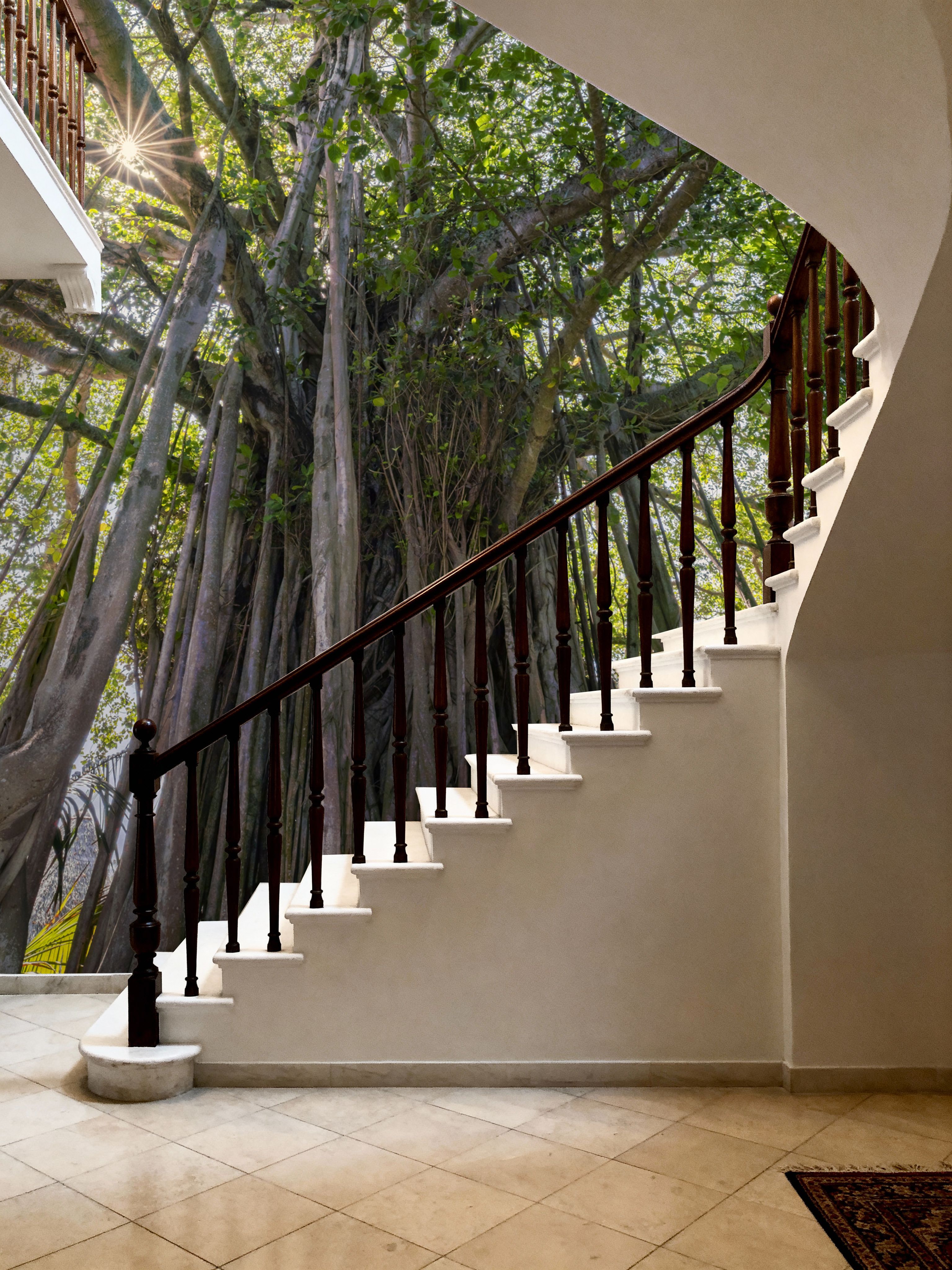 Banyan Tree