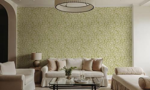 Hydrangea, Pistachio