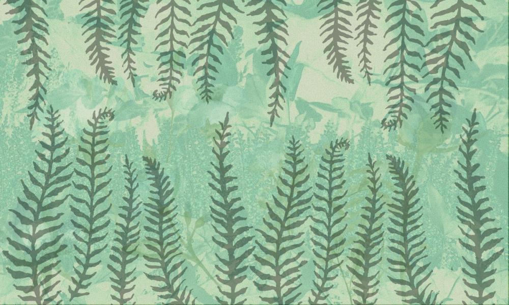 Reaching Ferns, Mint