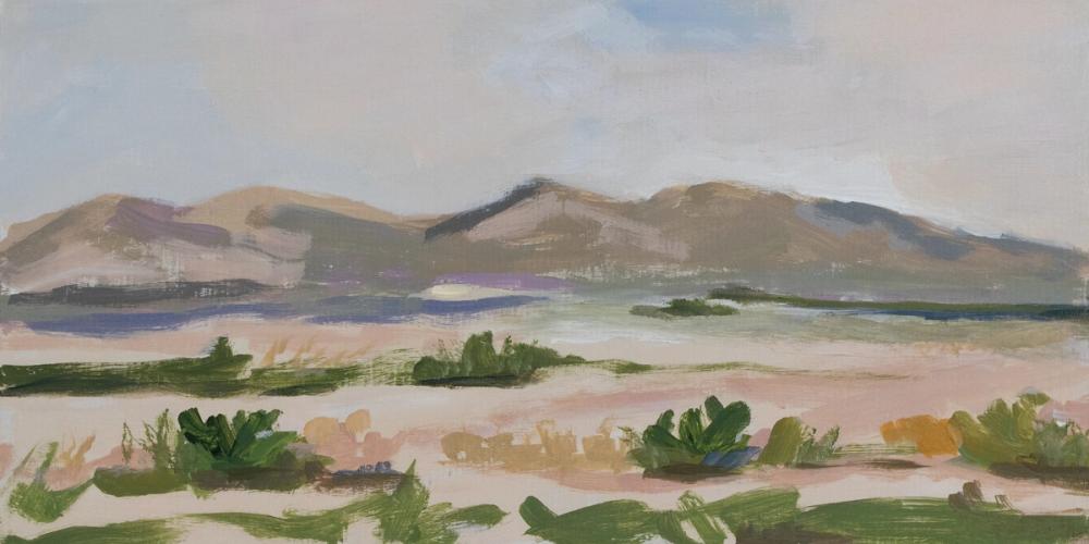 Desert Wandering