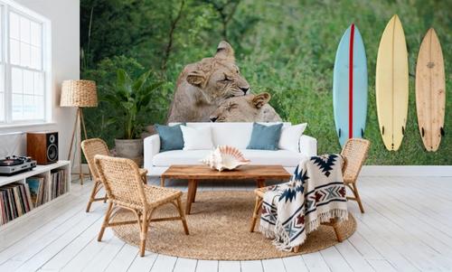 Playful Lions