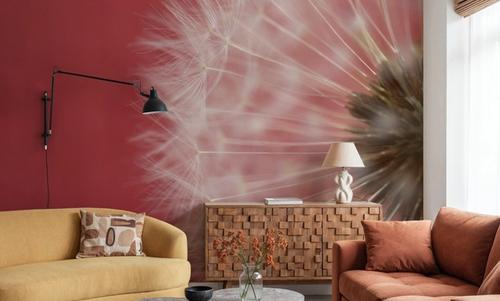 Dandelion on Red III