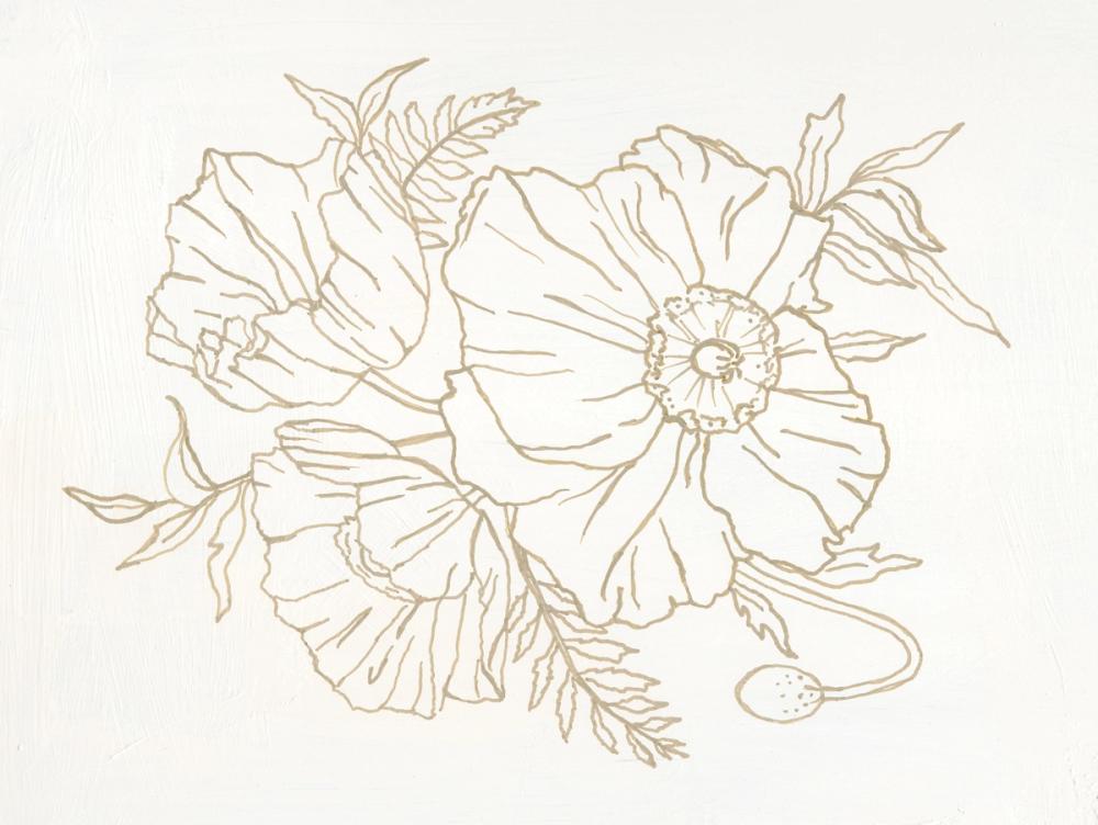 Three Poppies