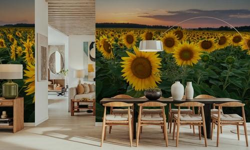 Proud Sunflower Field