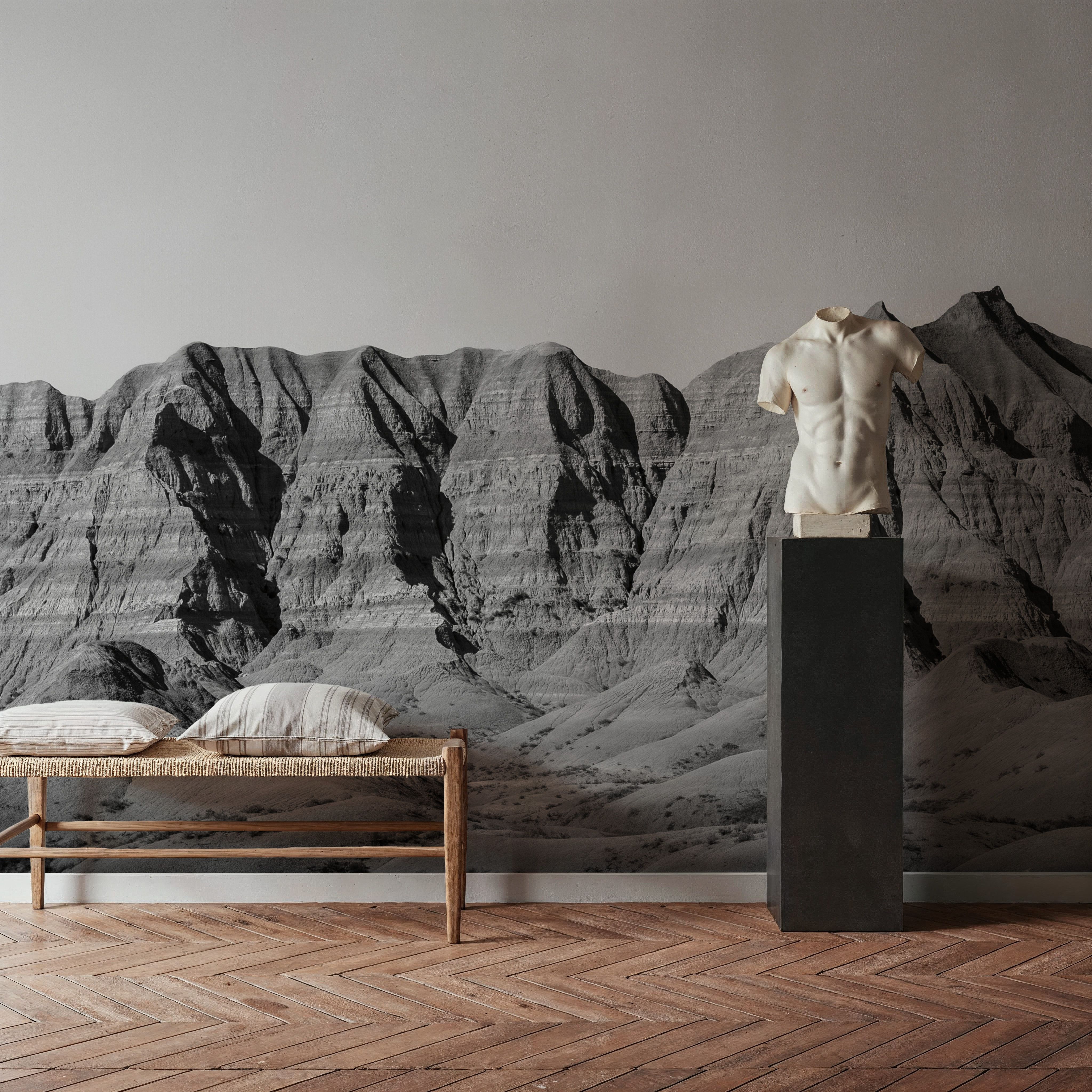 Badlands Black And White