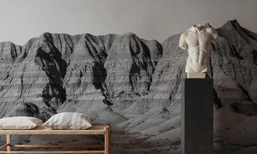 Badlands Black And White