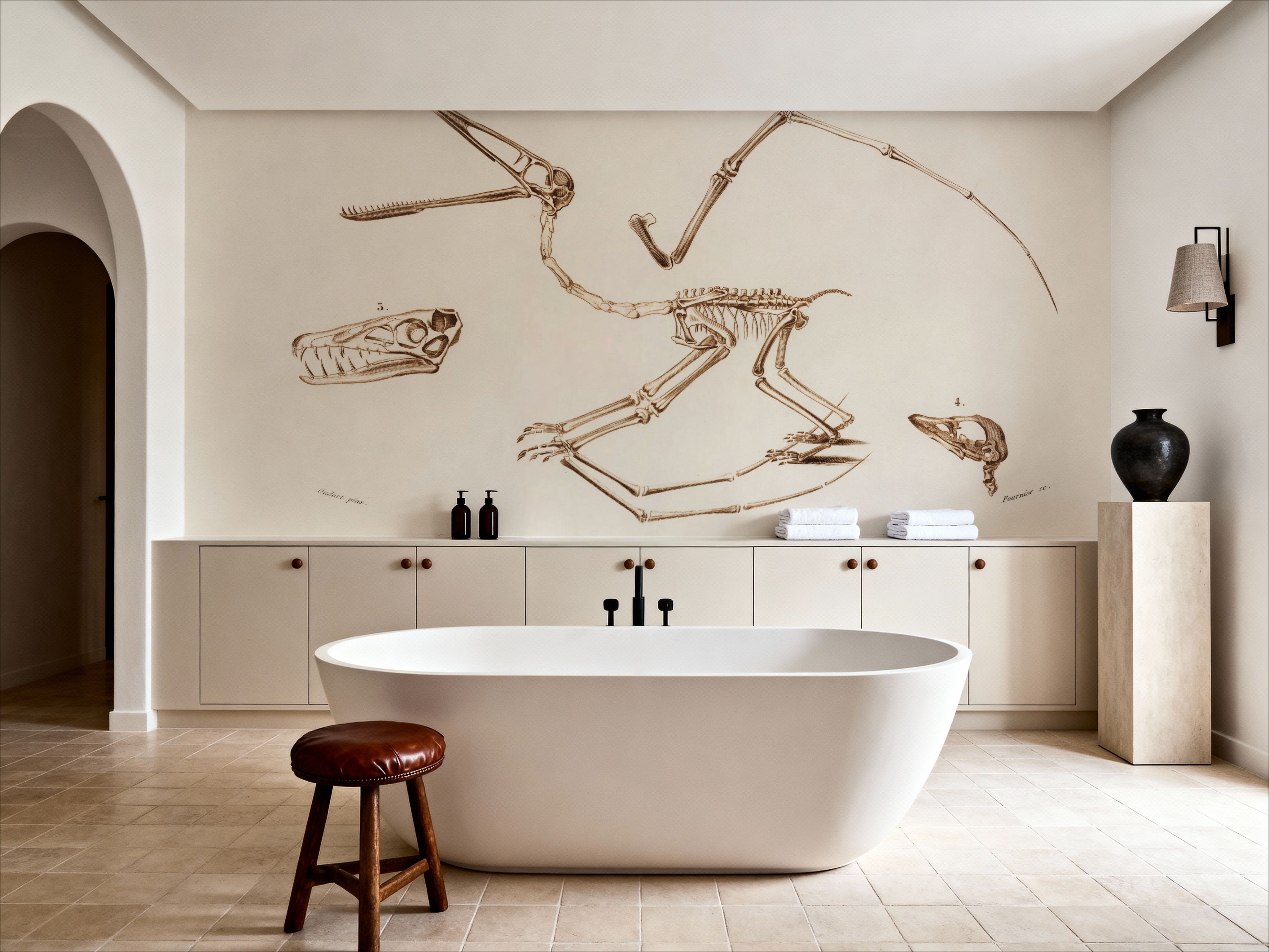 Pterosaur Illustrated