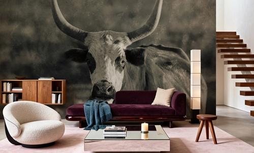 Sunset Cattle Portrait