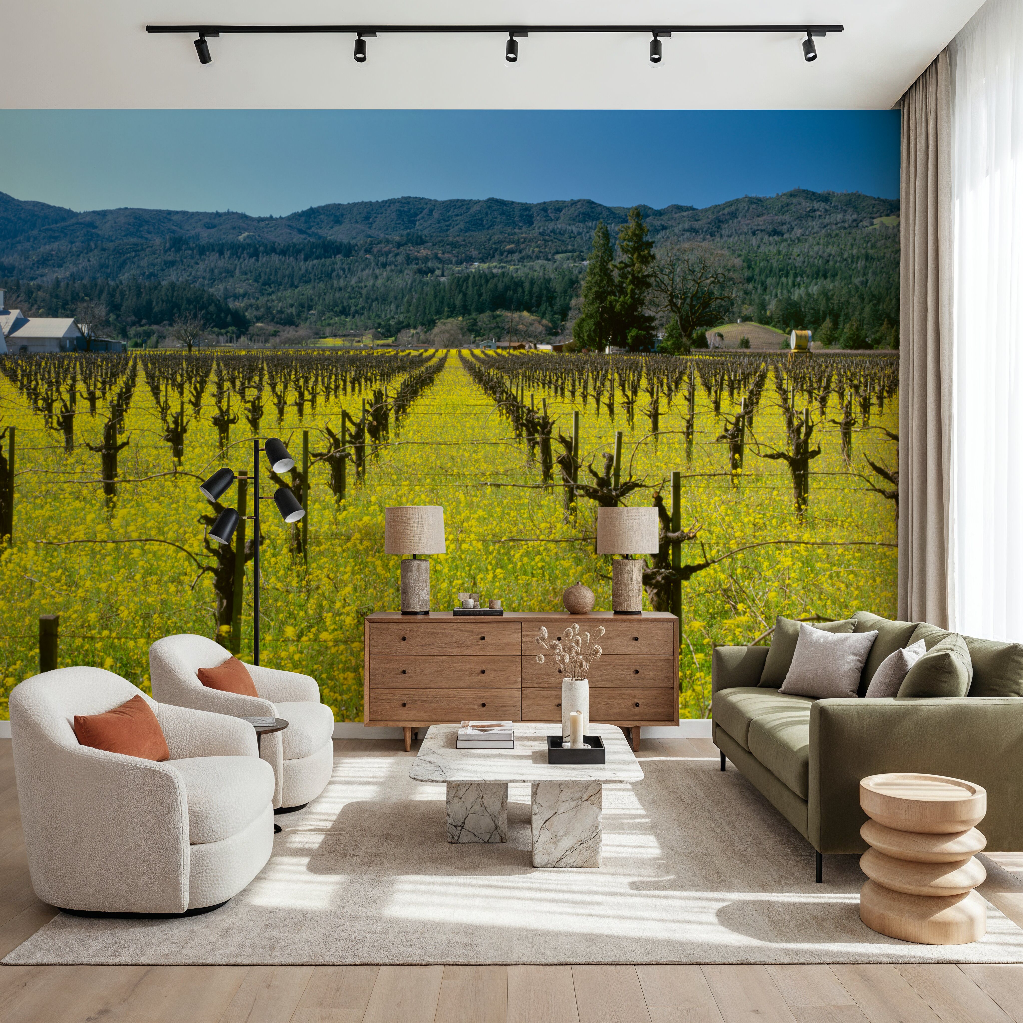 Vineyard Symmetry