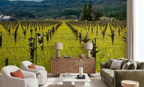 Vineyard Symmetry