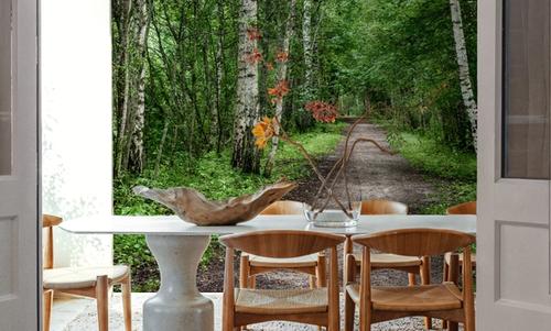 Dark Birch Forest