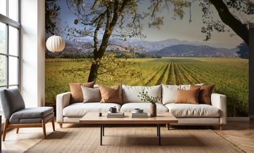Far Niente Winery