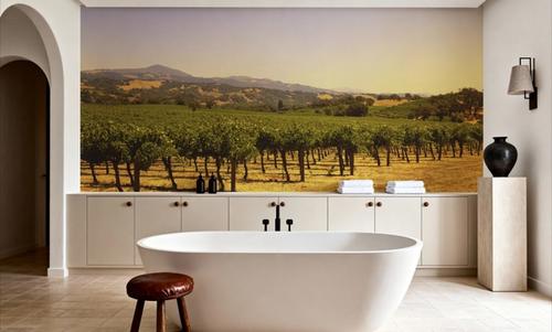 Golden Vineyard Vista