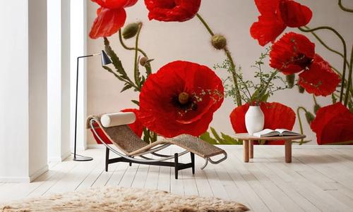 Red Poppy