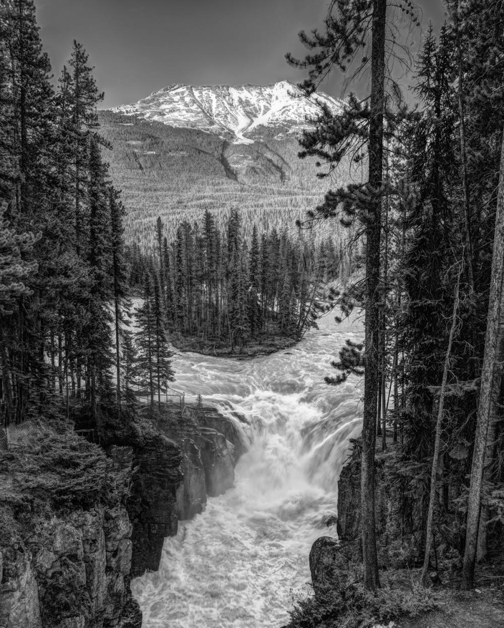 Sunwapta Falls BW
