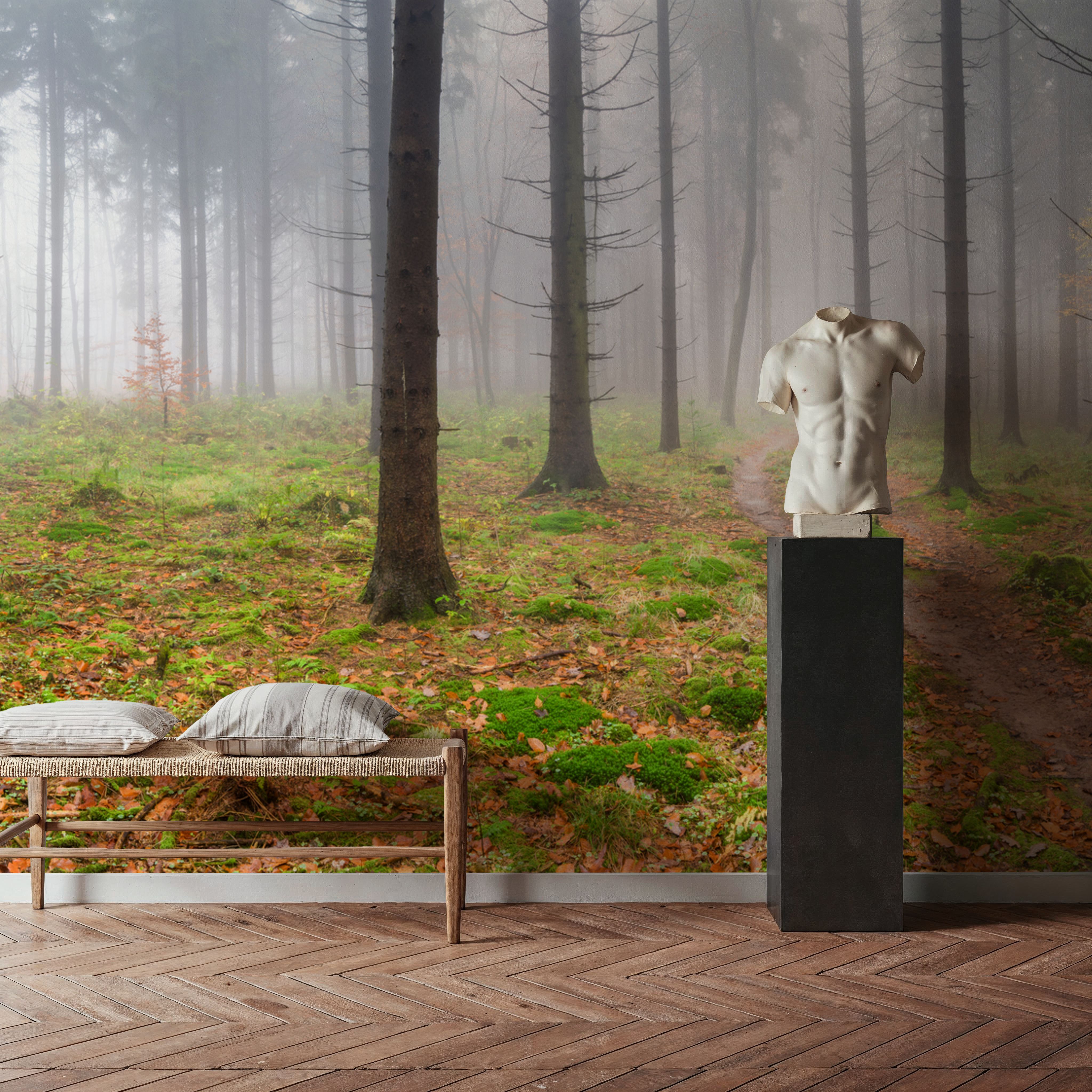 Foggy Forest