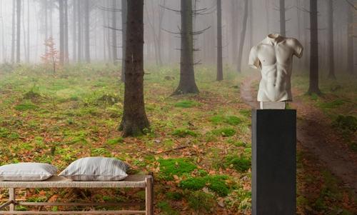 Foggy Forest