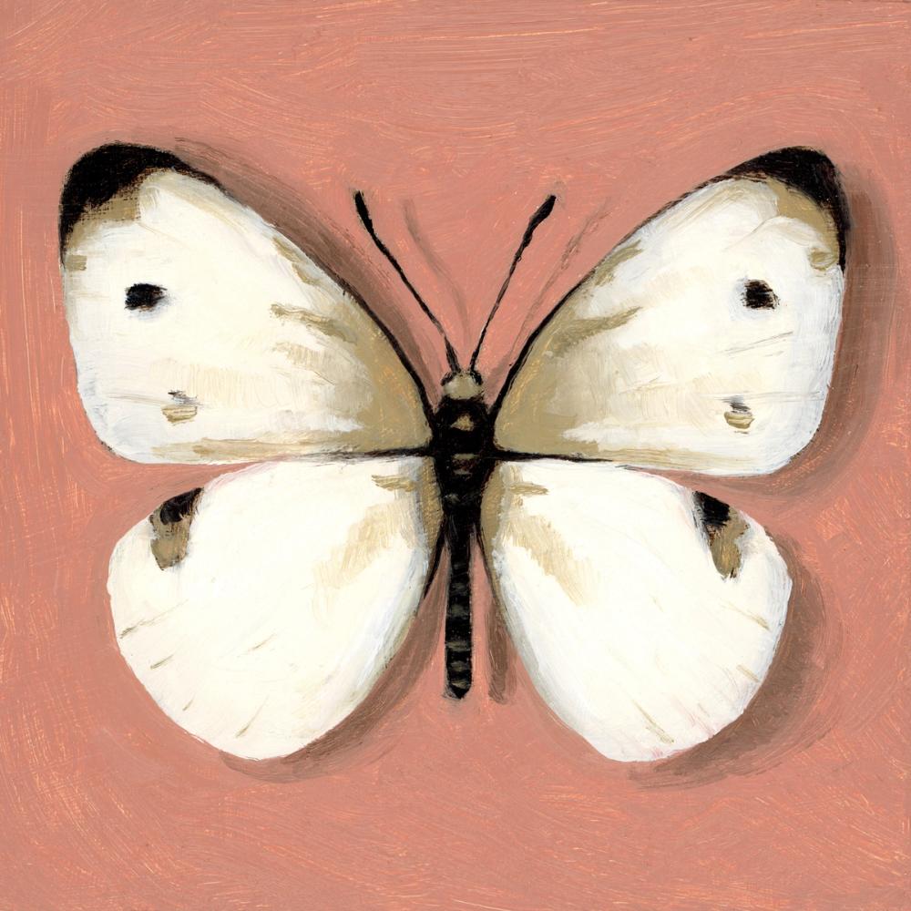 Cabbage White Butterfly