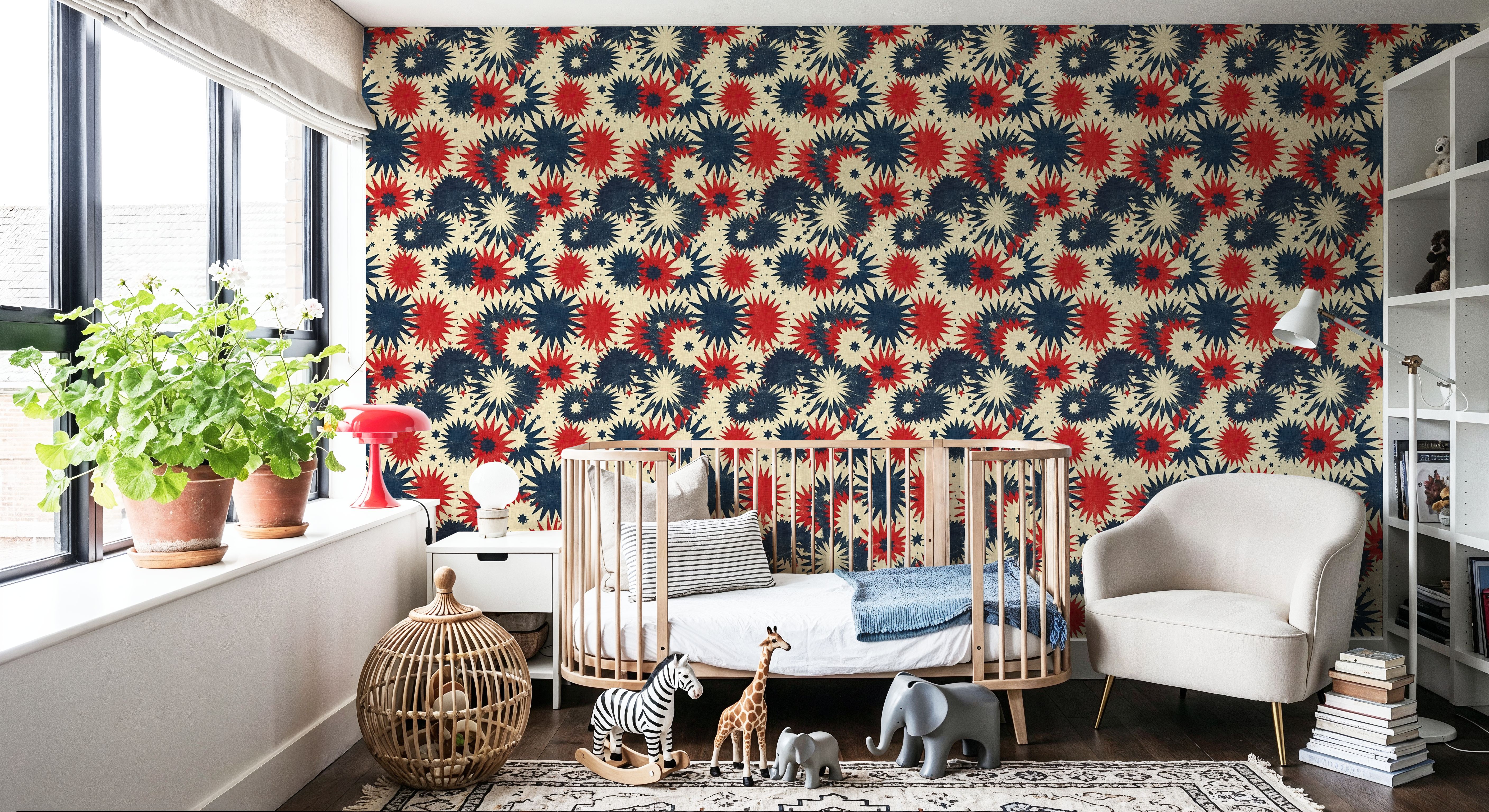 4th of July Fireworks