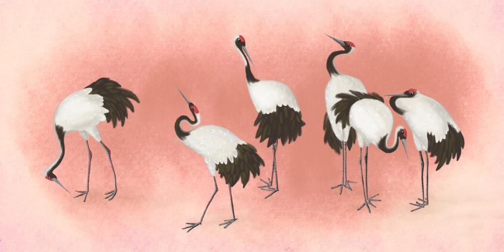 Japanese Cranes - Blush