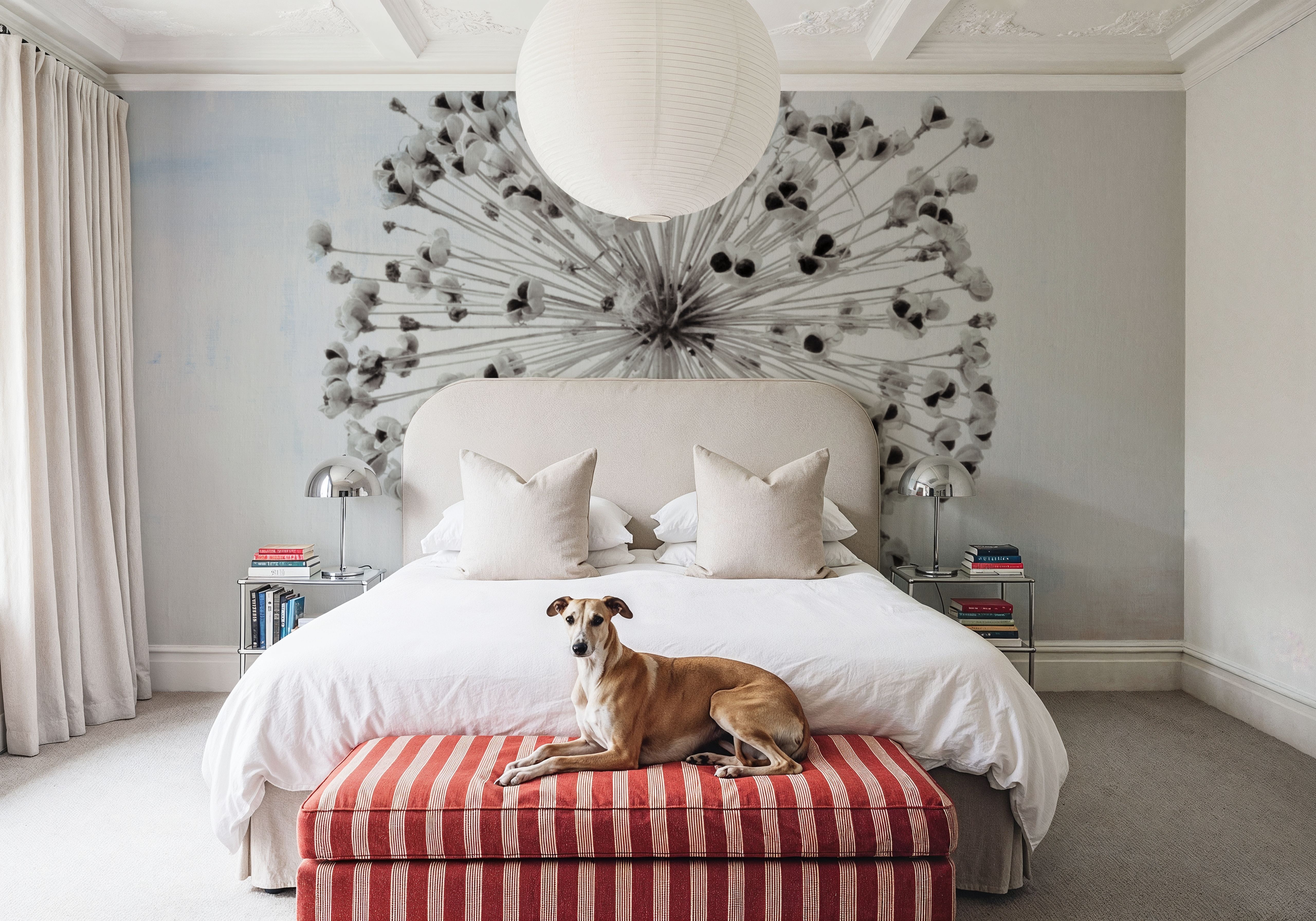 Agapanthus III, Tapeten