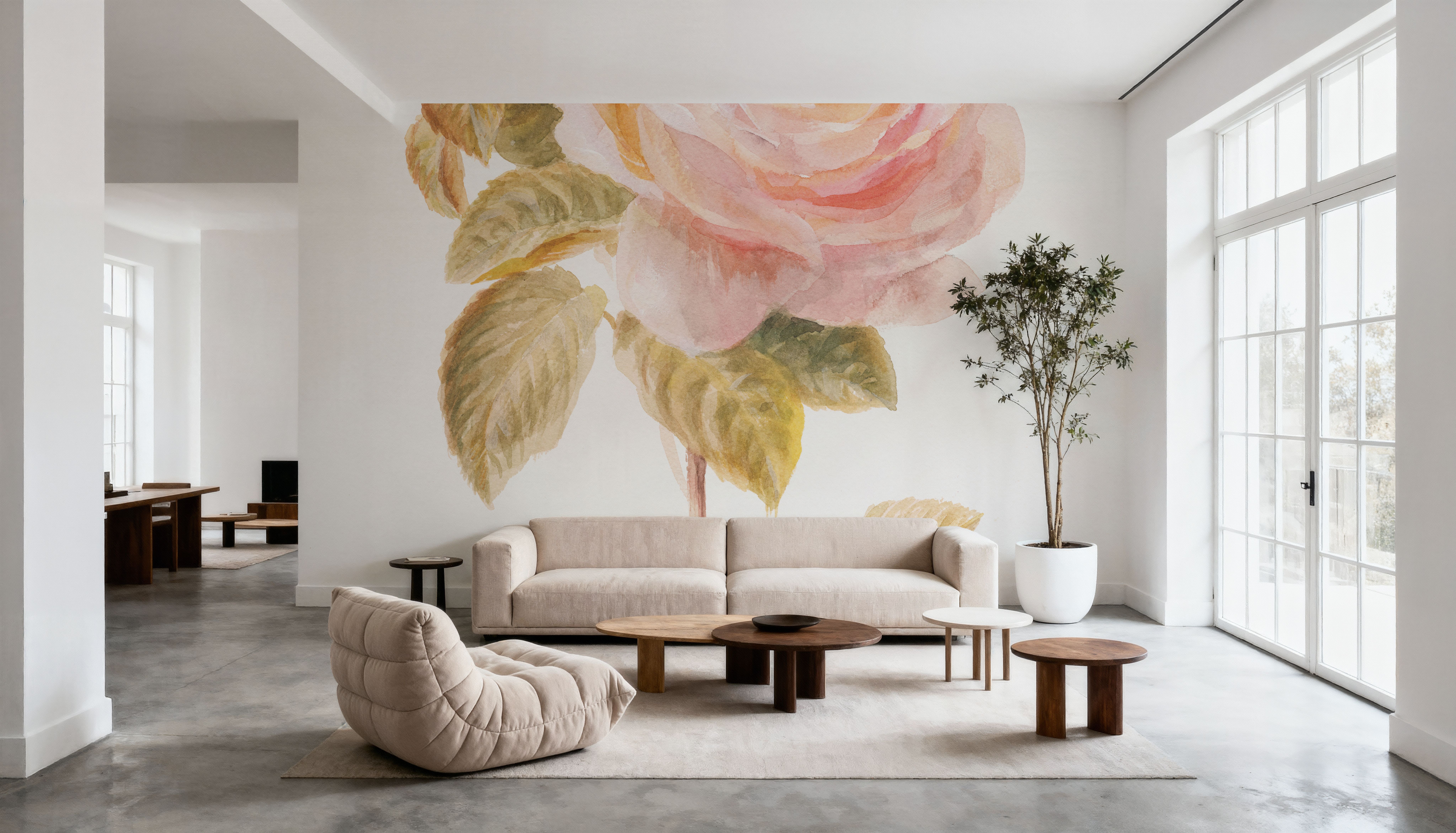 Garden Rose on White