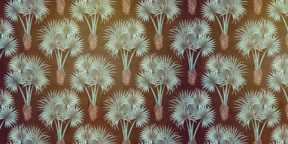 Elephant Ear Tree, Brown