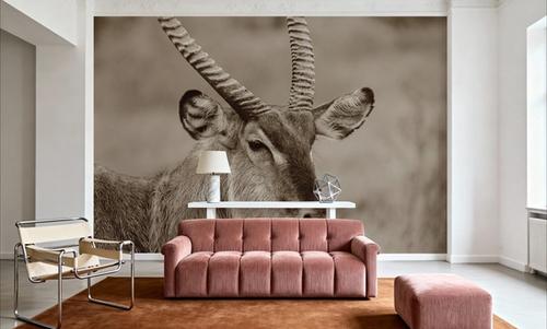 Waterbuck Portrait Sepia