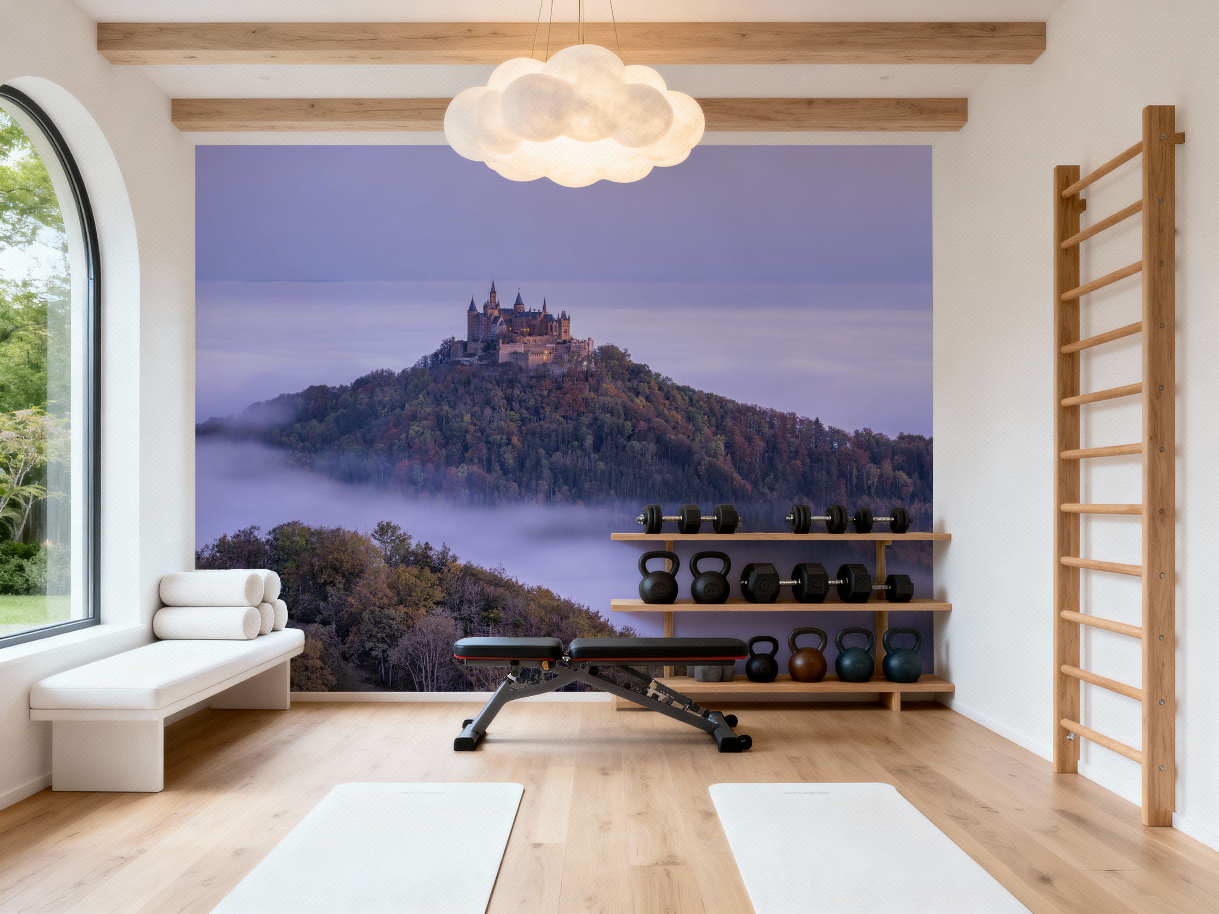 Hohenzollern Castle Fog
