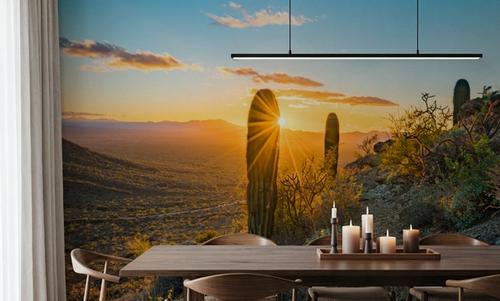 Saguaro Cacti