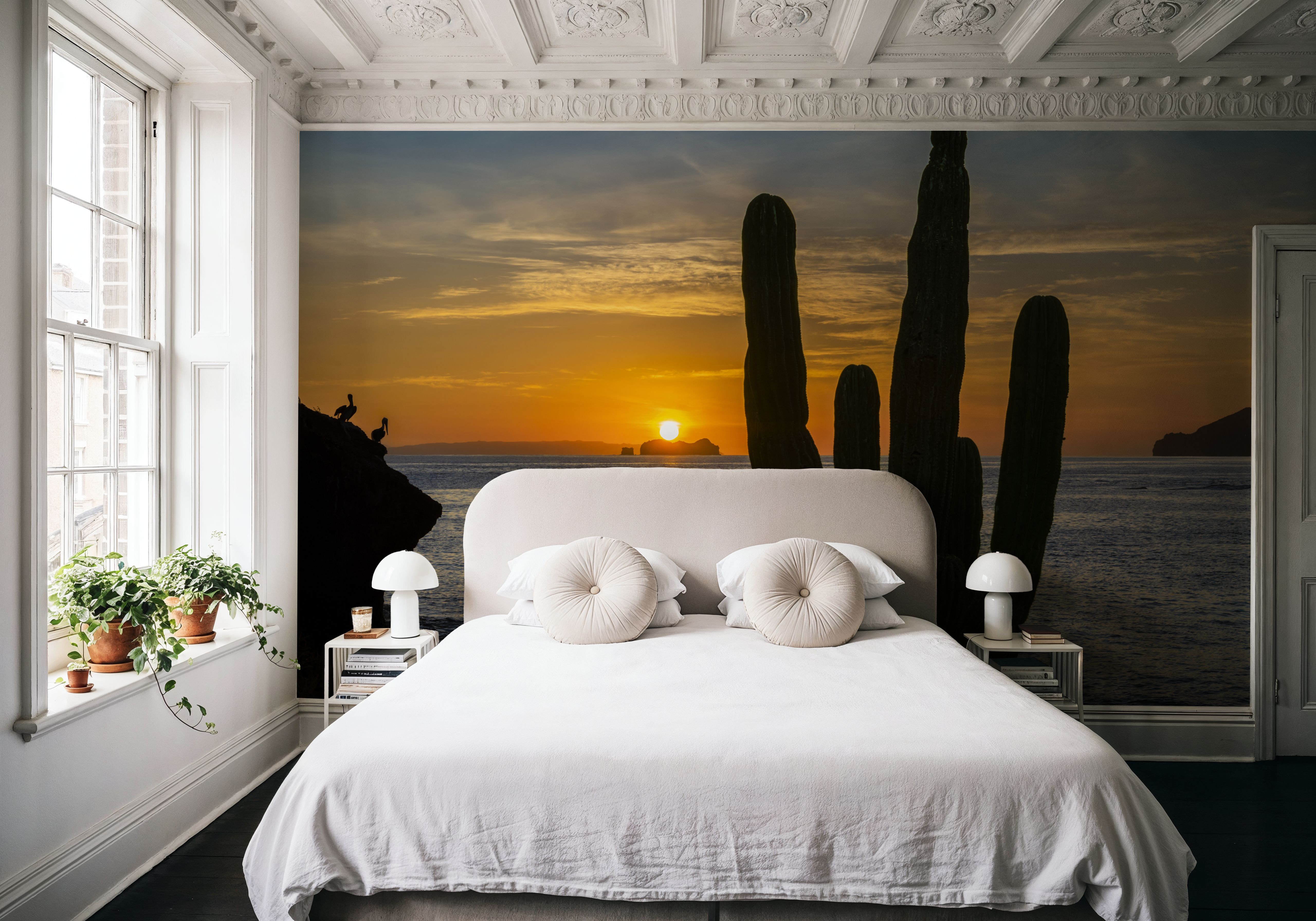 Cactus Coast