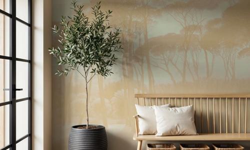 Mediterranean Pine Landscape, Apricot