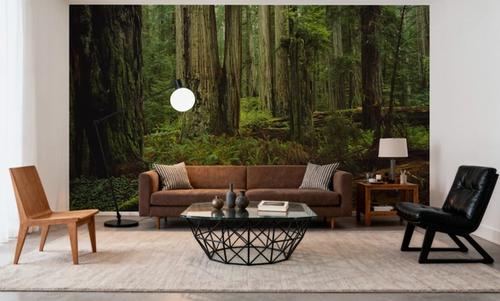 Mossy Haven