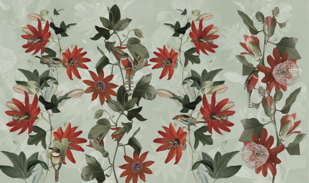 Contemporary Clematis 