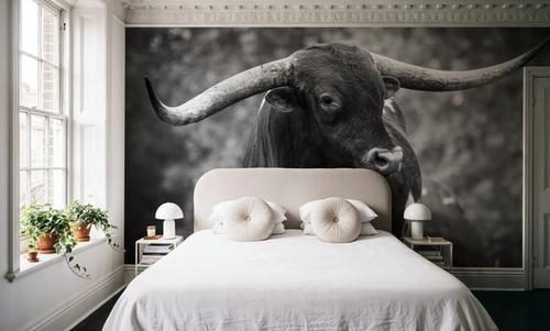 Longhorn Gaze I BW
