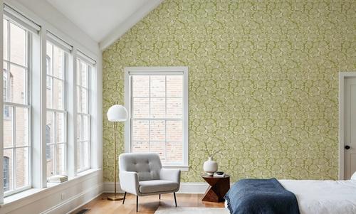 Hydrangea, Pistachio