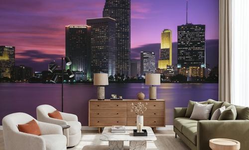 Sunset Pink Twilight Metropolis
