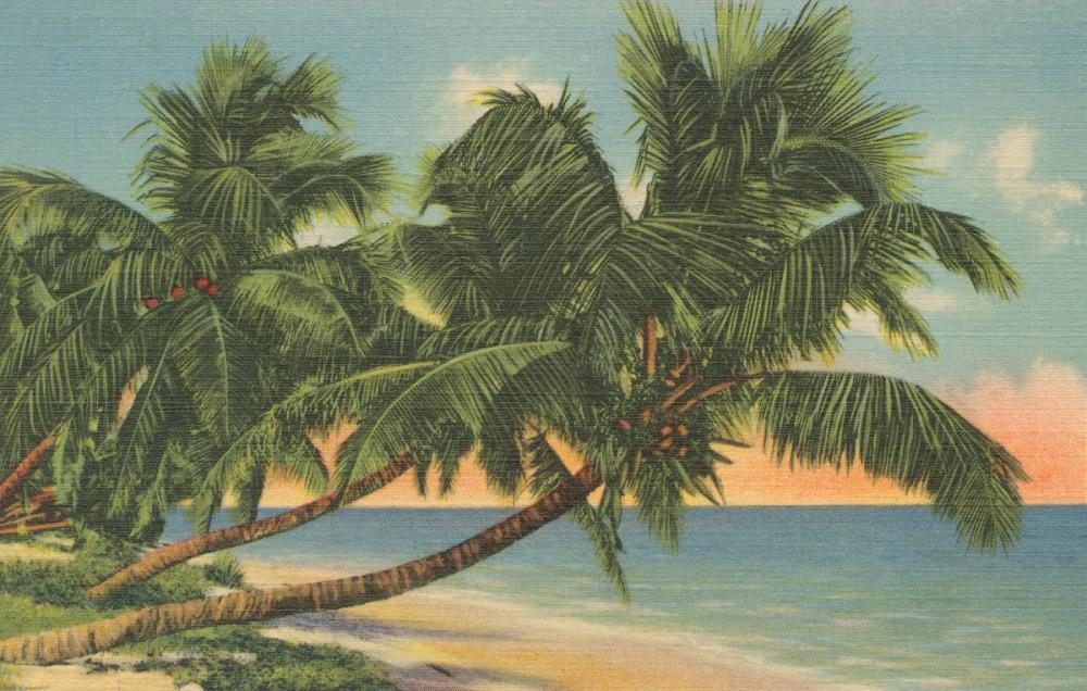 Florida Postcard III - Screenprint