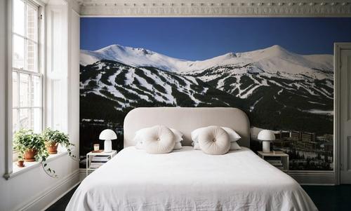 Alpine Ski Haven