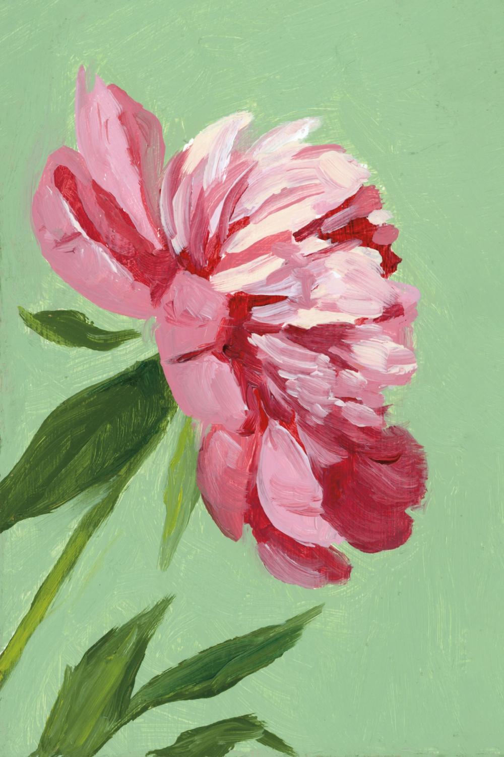 Treasure of the Spring