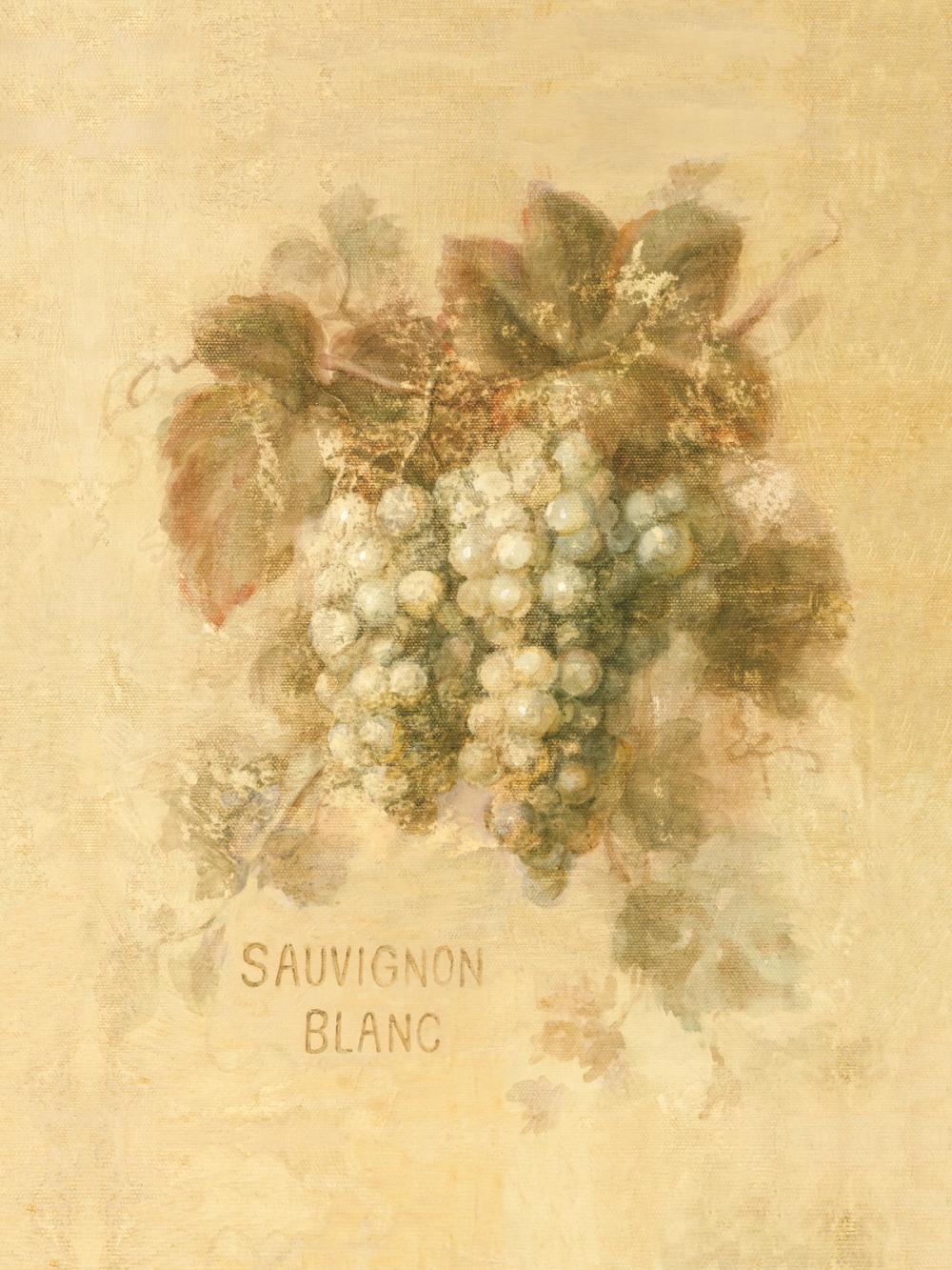 Sauvignon Blanc
