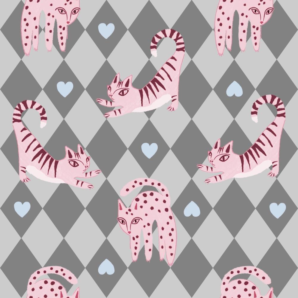 Harlequin Kittens, Blush