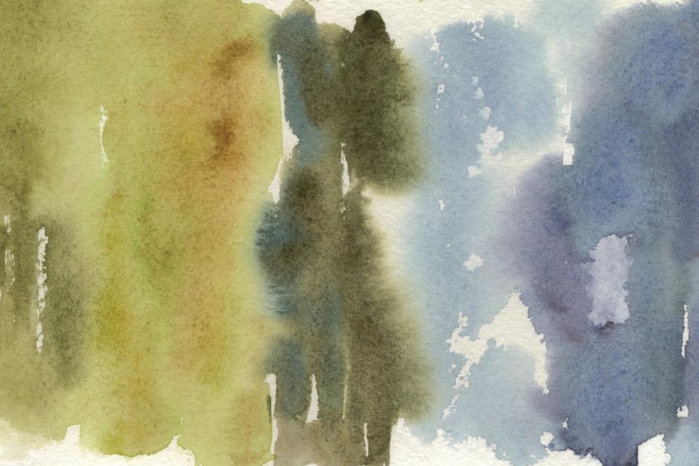 Cape Cod Abstract Honeybloom