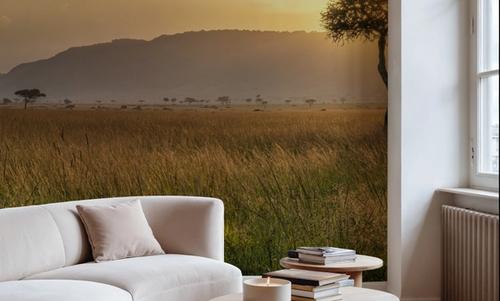 Acacia Sunset