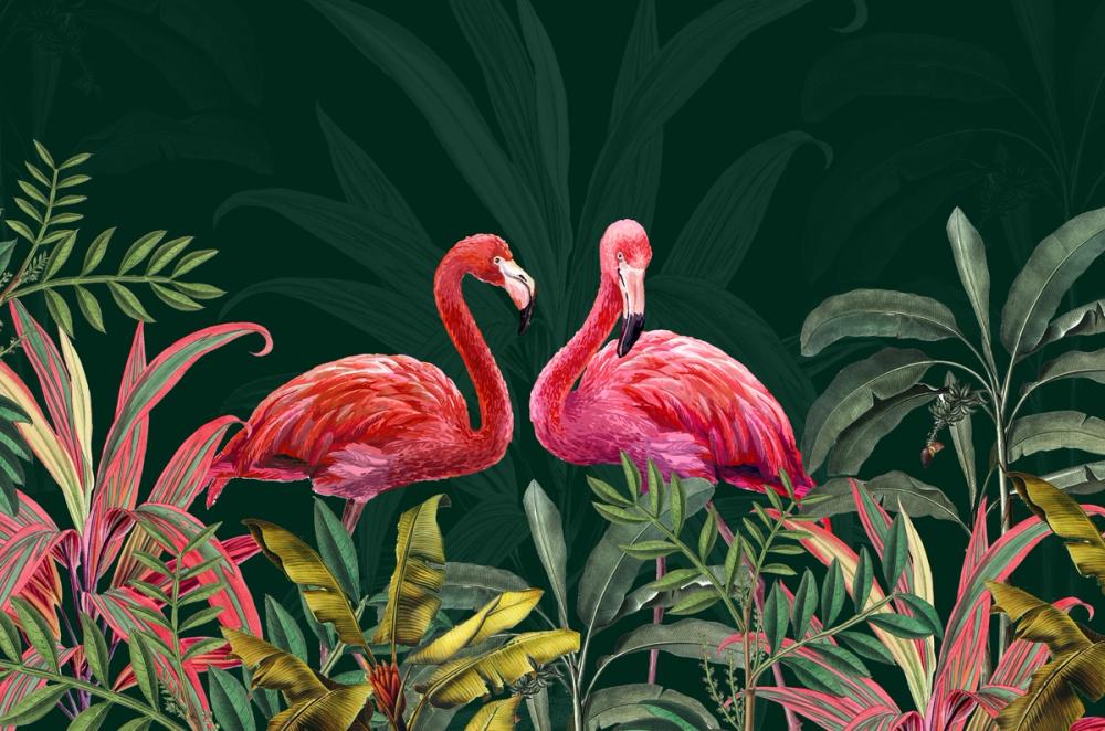 Shy Flamingos Dark